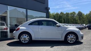 Volkswagen Coccinelle  - photo 4
