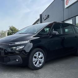 Citroen C4 Spacetourer BlueHDi 130ch S&S Business EAT8 E6.d Segr&eacute;-en-Anjou Bleu