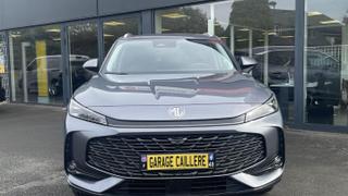 MG EHS  - photo 1