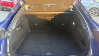 Citroen C5 X  - Business - photo 4