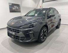 Cupra Terramar Belfort