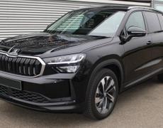 Skoda Kodiaq Goxwiller
