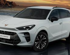 Cupra Terramar Ifs