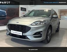 Ford Kuga Labastide-Marnhac