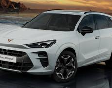 Cupra Terramar Ifs