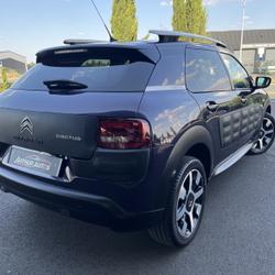 Citroen C4 Cactus BLUEHDI 100 SHINE D&eacute;mouville