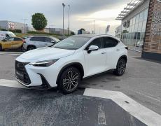 Lexus NX Brive-la-Gaillarde