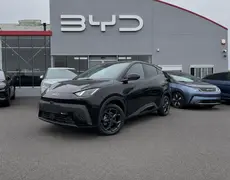 BYD Dolphin Rezé