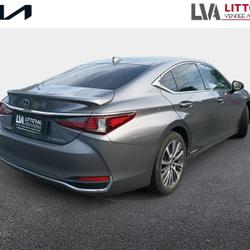 Lexus ES 300h Luxe MY20 Challans