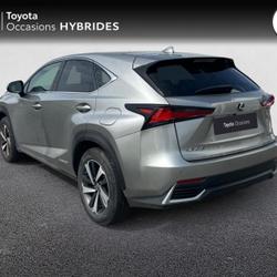Lexus NX 300h 4WD Executive Innovation MY21 Lannion