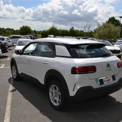 Citroen C4 Cactus BLUEHDI 100CH S&S FEEL BUSINESS E6.D Domalain
