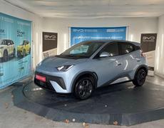 BYD Dolphin Fenouillet