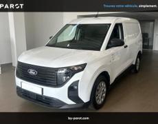 Ford Transit Bruges