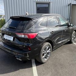 Ford Kuga 2.5 Duratec 225ch PHEV ST-Line BVA Bruges