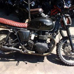 Triumph Bonneville  Arles