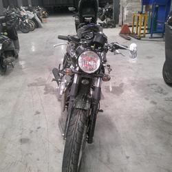 Triumph Thruxton  Arles