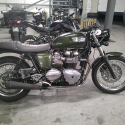 Triumph Thruxton  Arles