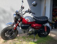 Honda Monkey Sélestat