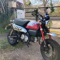 Honda Monkey  S&eacute;lestat