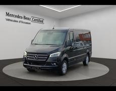 Mercedes Sprinter Tours