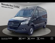 Mercedes Sprinter Tours