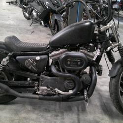 Harley Davidson Sportster  Arles