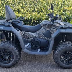 CFMOTO CFORCE  Dommartin-l&egrave;s-Toul