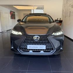 Lexus NX 350h Luxe 2WD MY25 Cesson-S&eacute;vign&eacute;