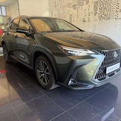 Lexus NX 350h Luxe 2WD MY25 Cesson-S&eacute;vign&eacute;