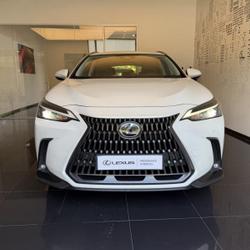 Lexus NX 350h Pack Business 2WD MY25 Cesson-S&eacute;vign&eacute;