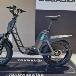 Yamaha autres  D&eacute;ville-l&egrave;s-Rouen