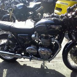 Triumph Bonneville  Arles