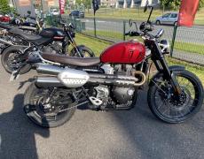 Triumph Scrambler Dury