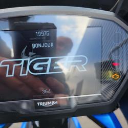 Triumph Tiger  Ruaudin