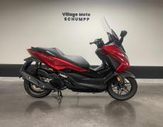 Honda Forza Eckbolsheim