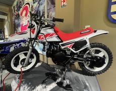 Yamaha PW Roissy-en-France