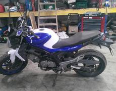 Suzuki Gladius Arles