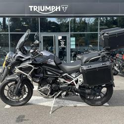 Triumph Tiger  Rochefort-du-Gard