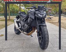Honda Hornet