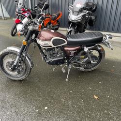 Mash Seventy five  Tr&eacute;gueux