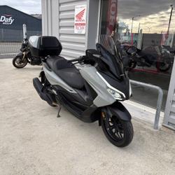 Honda Forza  Le Mans