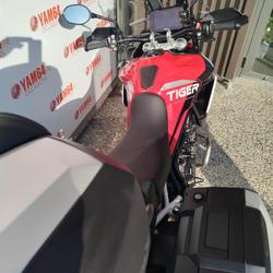 Triumph Tiger  Anglet