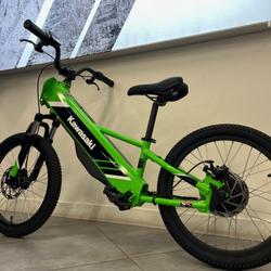 Kawasaki Elektrode 20 occasion - Paris 12e Arrondissement - photo 2/5