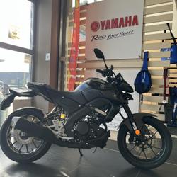 Yamaha MT 125  Saint-Maximin