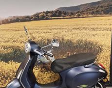 Vespa Primavera Mérignac