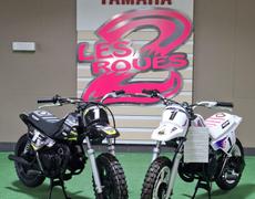 Yamaha autres Roissy-en-France