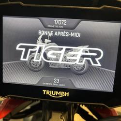 Triumph Tiger  Dury