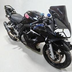 Suzuki SV  Pressigny-les-Pins