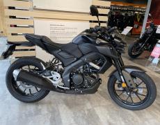 Yamaha MT 125 Vernon