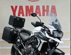 Triumph Tiger Saint-Gaudens